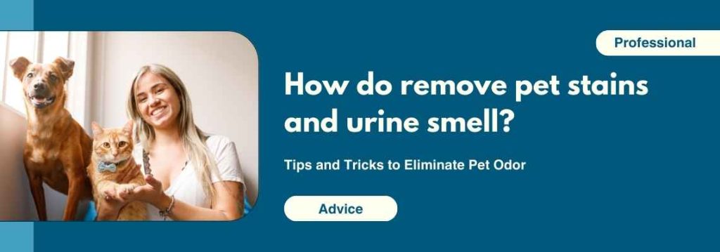remove urine smell from carpet with enzymatic cleaners
