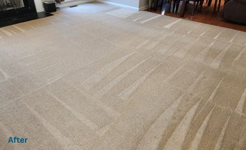 beige living carpet cleaning in buford ga after the cleaning