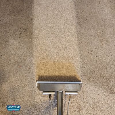 dirty carpet showing a clean swipe from a professional carpet cleaning machine