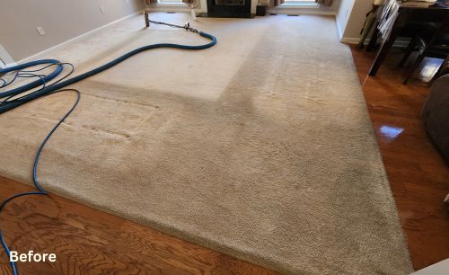 before picture of beige living room carpet before a professional carpet cleaning in loganville ga