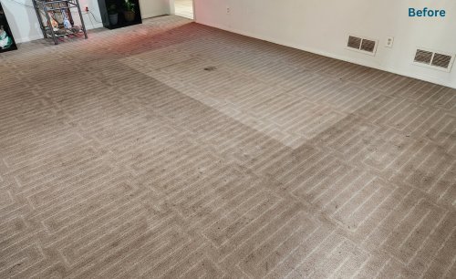 dirty beige carpet before a carpet cleaning