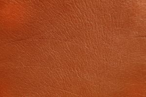 leather fabric sample