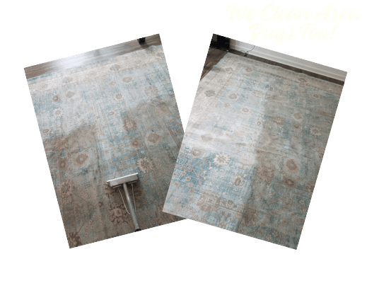 area rugs getting professionally cleaned