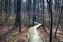 Autrey Mill Nature Preserve & Heritage Center Autrey Mill Nature Preserve & Heritage Center